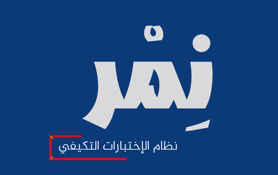 NMR Examination System